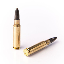 30-06 BLYFRI   Ammunition...