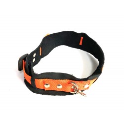 Hundehalsbånd Orange Uni-Size