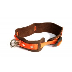 Hundehalsbånd Orange Uni-Size